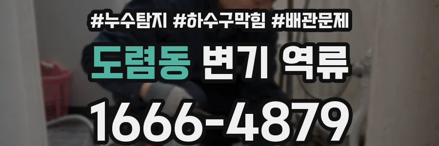 도렴동 변기 역류