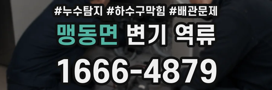 맹동면 변기 역류