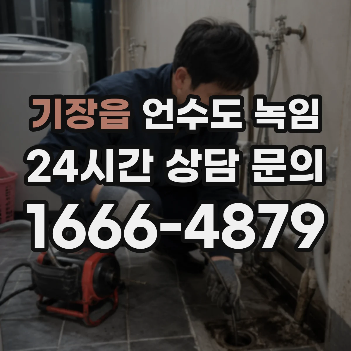 기장읍 언수도 녹임