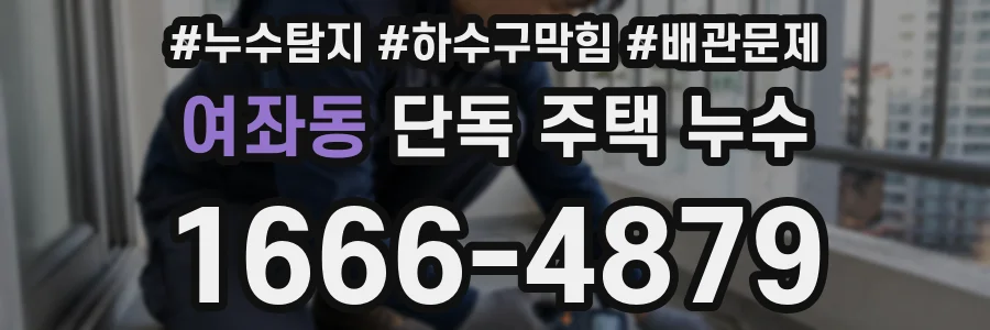 여좌동 단독 주택 누수