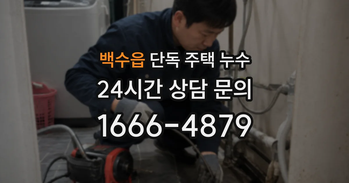 백수읍 단독 주택 누수