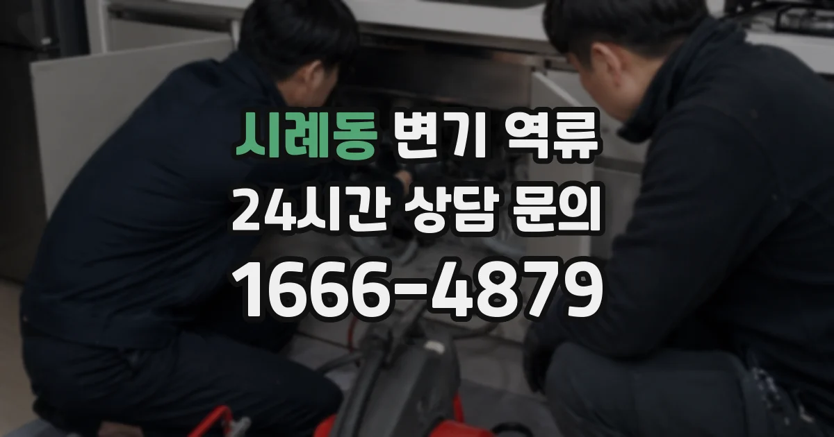 시례동 변기 역류