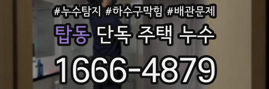 탑동 단독 주택 누수