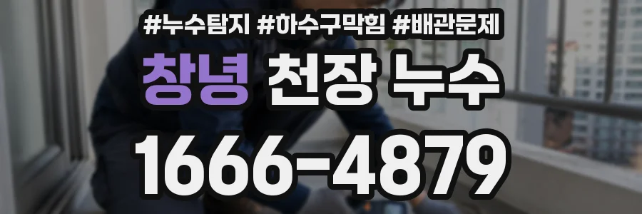 창녕 천장 누수