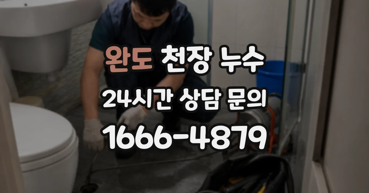 완도 천장 누수