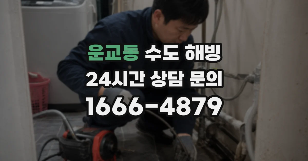 운교동 수도 해빙