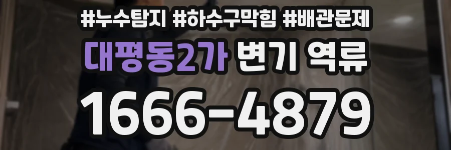 대평동2가 변기 역류