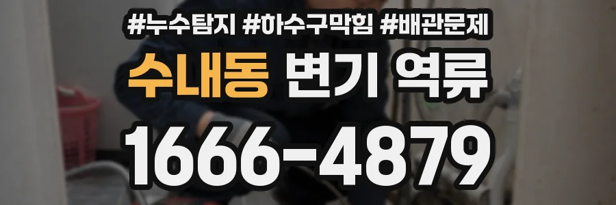 수내동 변기 역류