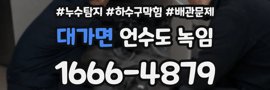 대가면 언수도 녹임