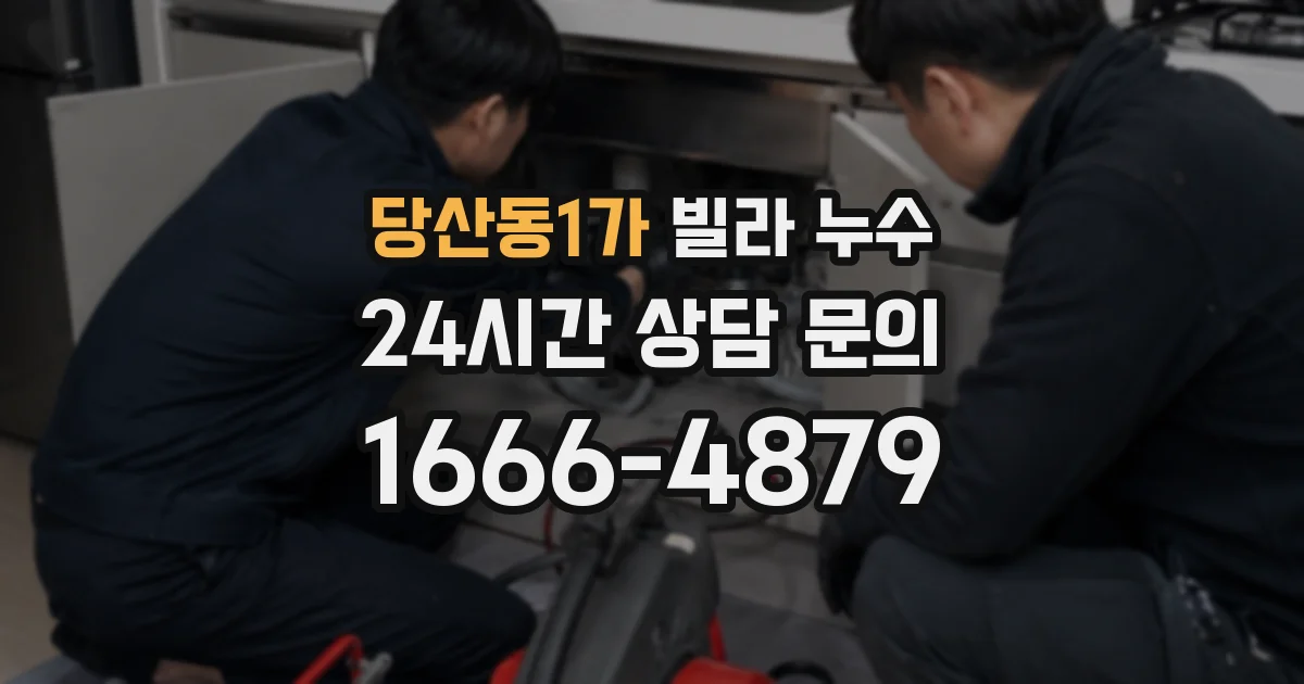 당산동1가 빌라 누수