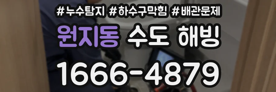 원지동 수도 해빙