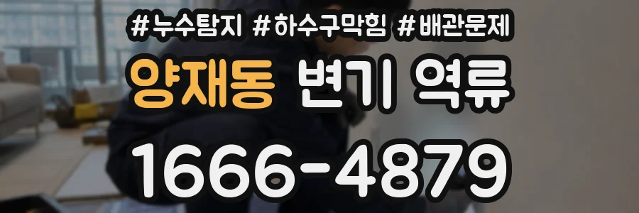 양재동 변기 역류
