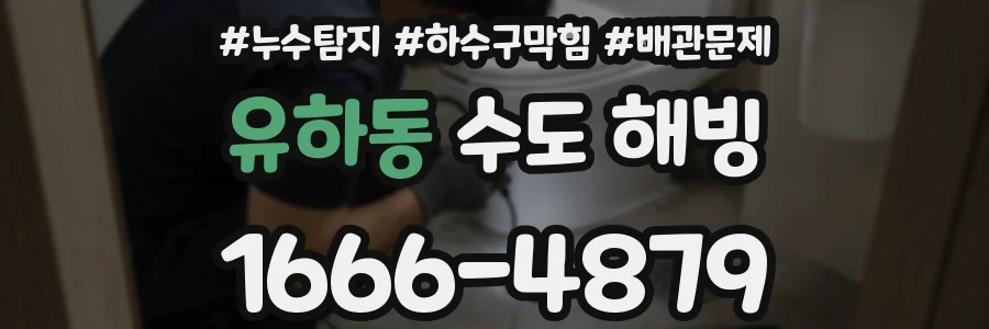 유하동 수도 해빙