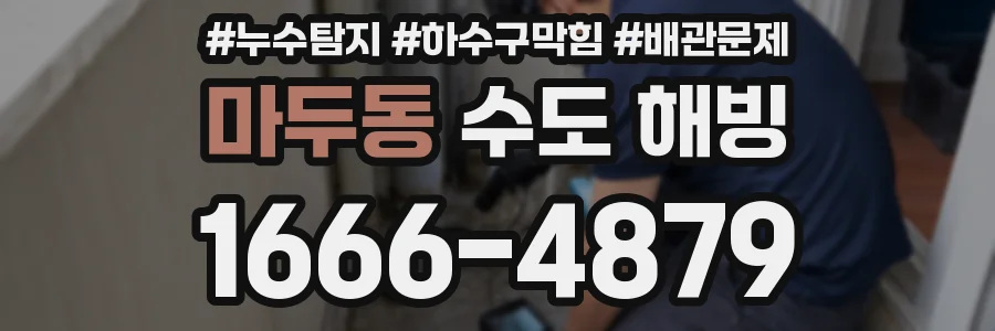 마두동 수도 해빙