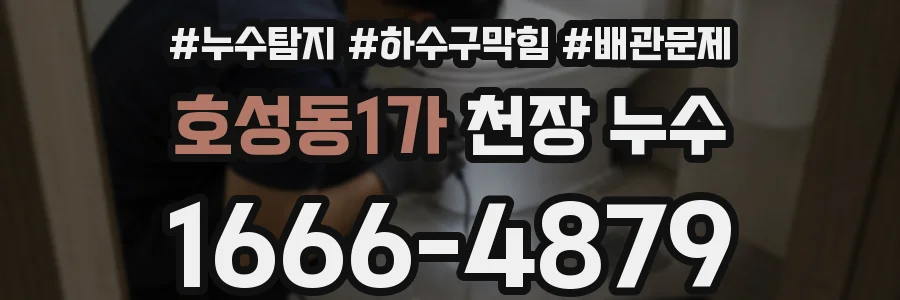 호성동1가 천장 누수
