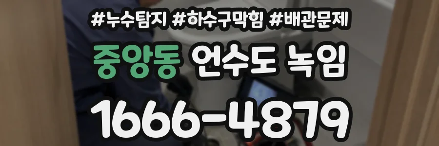 중앙동 언수도 녹임