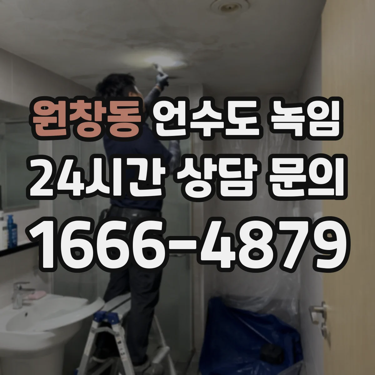원창동 언수도 녹임