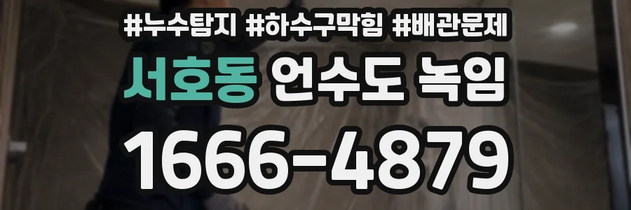 서호동 언수도 녹임