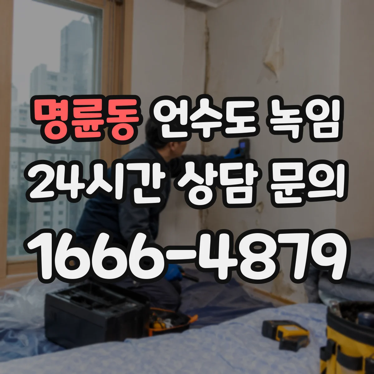 명륜동 언수도 녹임