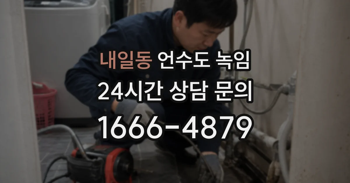 내일동 언수도 녹임