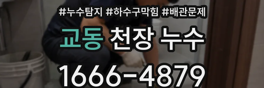 교동 천장 누수