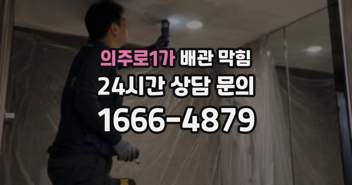 의주로1가 배관 막힘