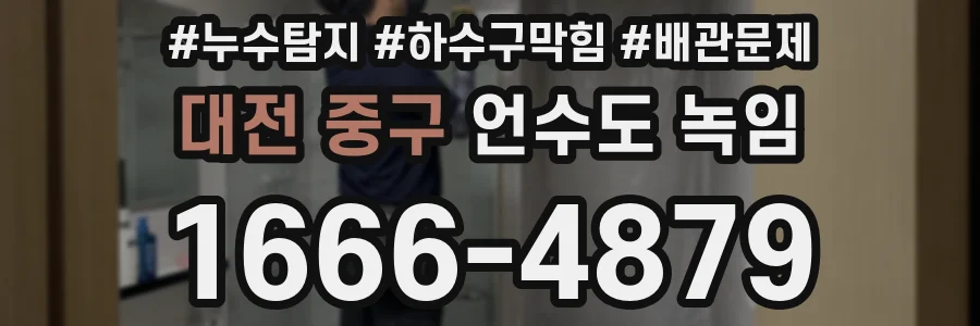 대전 중구 언수도 녹임