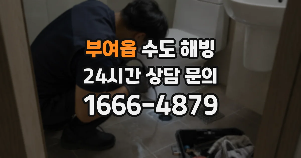 부여읍 수도 해빙