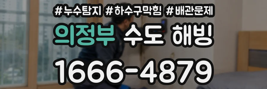 의정부 수도 해빙