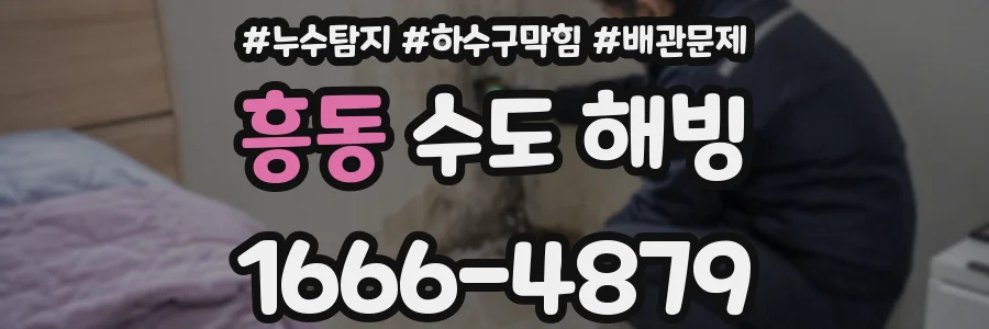 흥동 수도 해빙