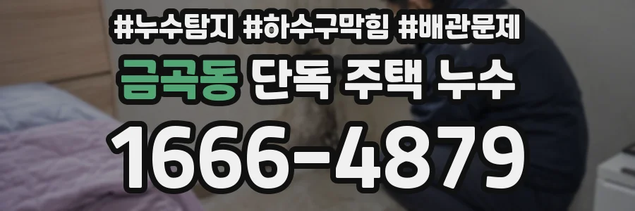 금곡동 단독 주택 누수