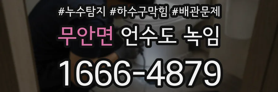 무안면 언수도 녹임