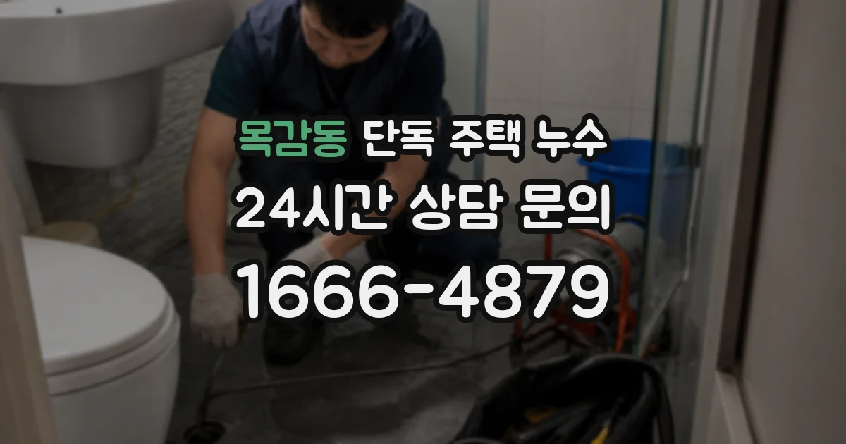 목감동 단독 주택 누수