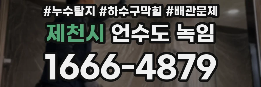 제천시 언수도 녹임