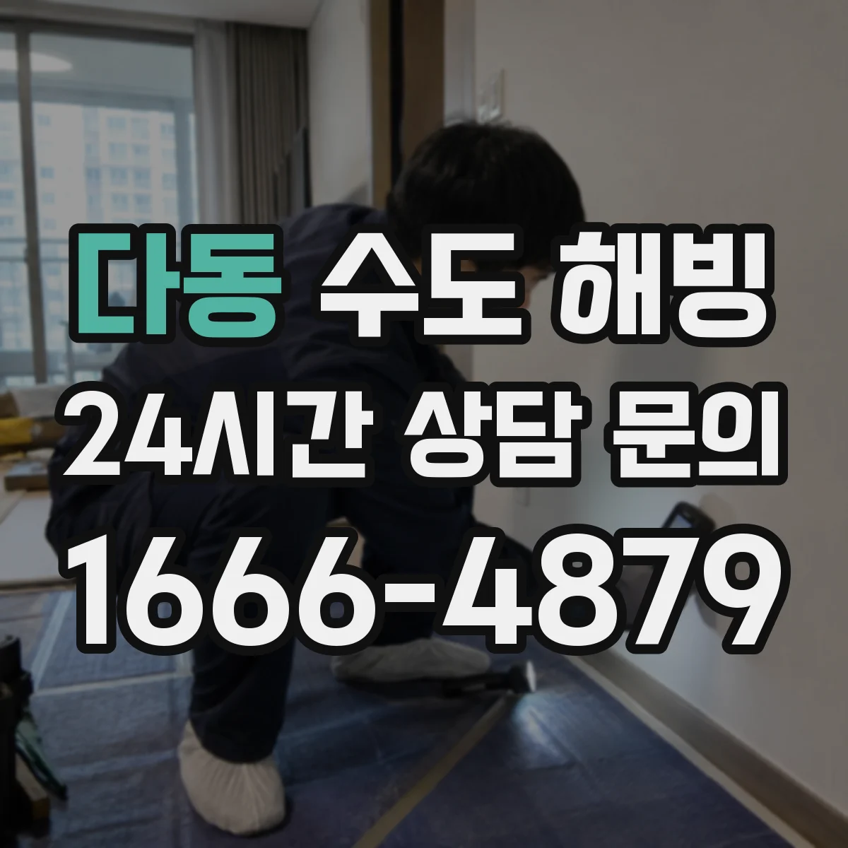 다동 수도 해빙