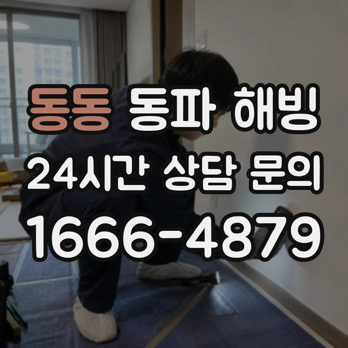 동동 동파 해빙