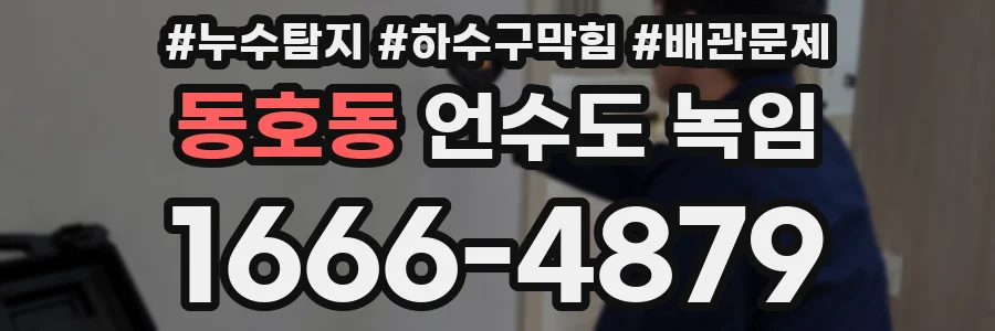 동호동 언수도 녹임
