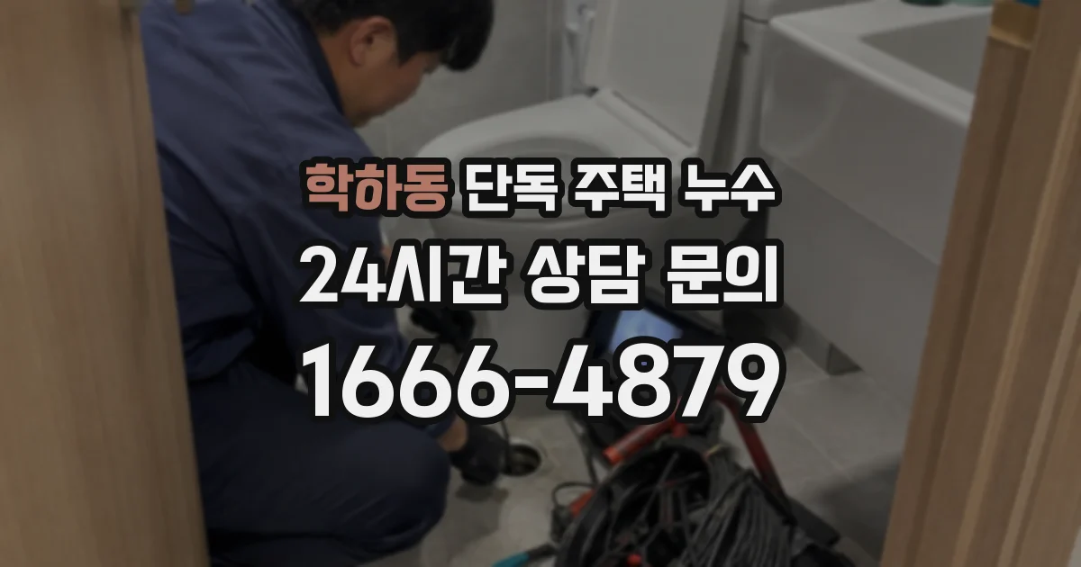 학하동 단독 주택 누수