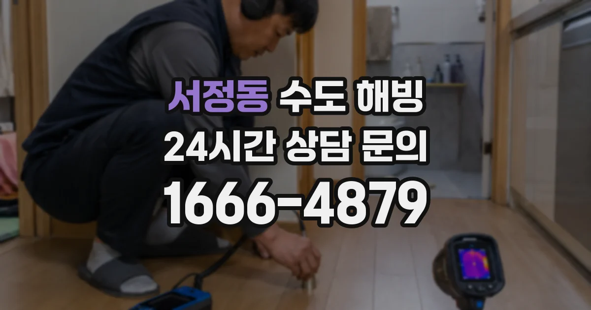 서정동 수도 해빙