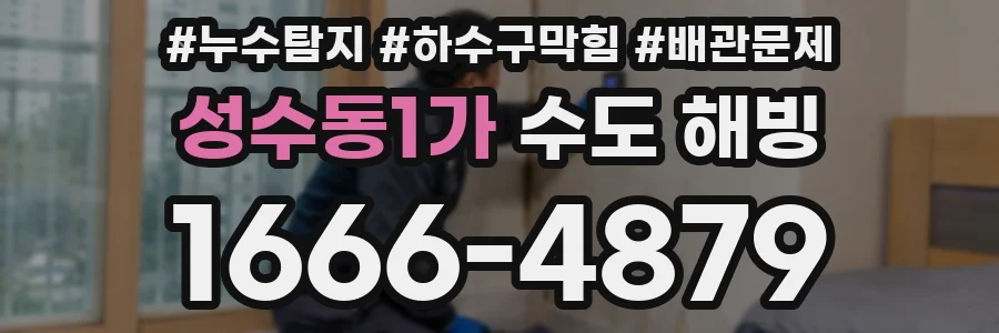 성수동1가 수도 해빙