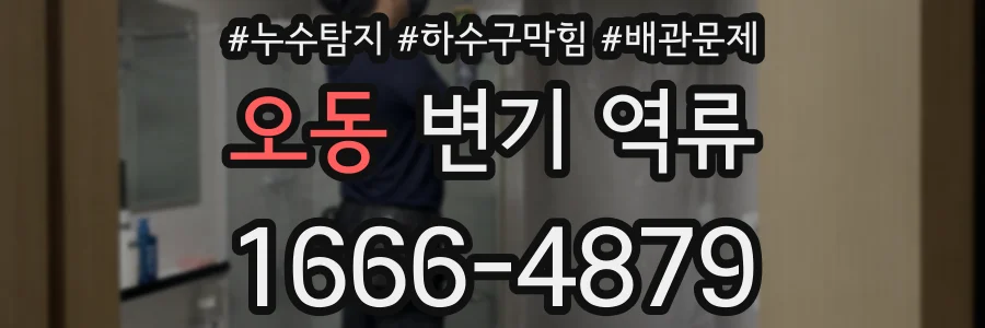 오동 변기 역류