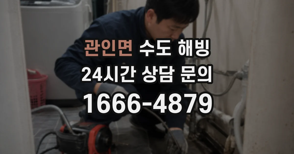 관인면 수도 해빙