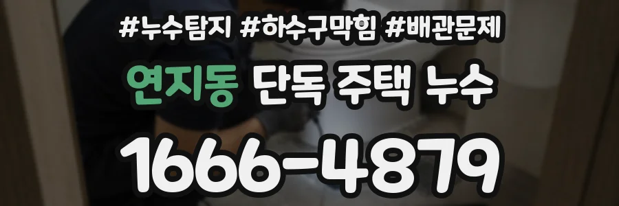 연지동 단독 주택 누수