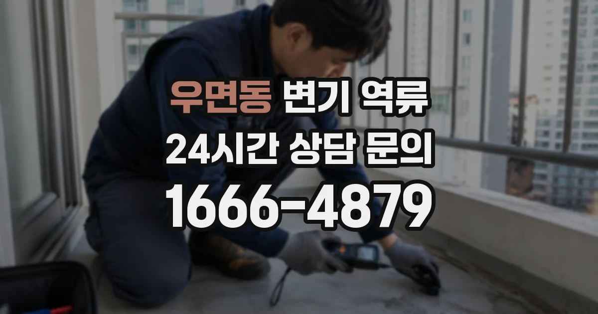 우면동 변기 역류