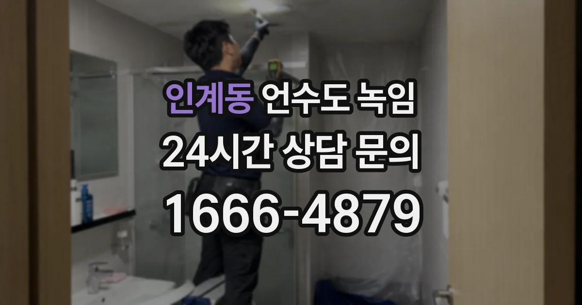 인계동 언수도 녹임