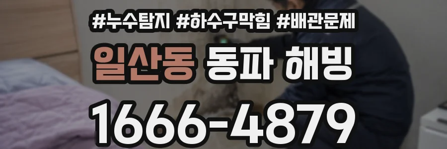 일산동 동파 해빙