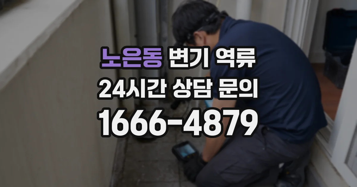 노은동 변기 역류