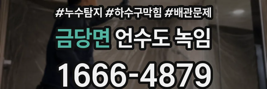 금당면 언수도 녹임