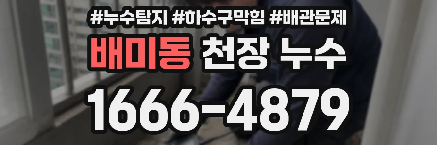 배미동 천장 누수