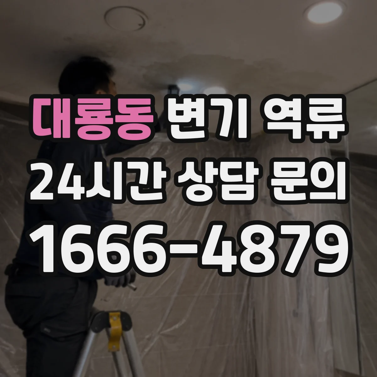 대룡동 변기 역류